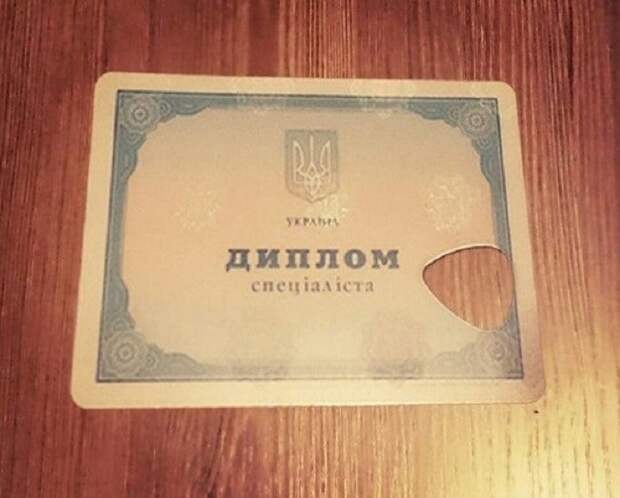Сделать медиатор вуз, диплом, полезное, фото