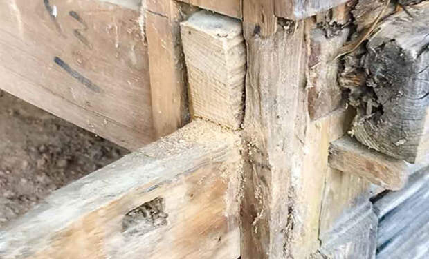 3 дом в японии