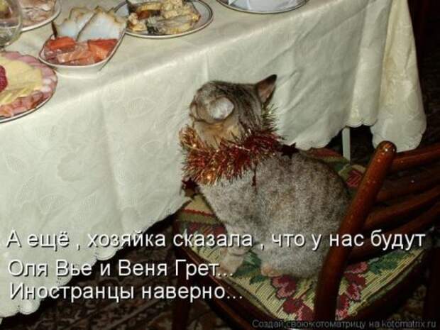 Лучшие котоматрицы недели