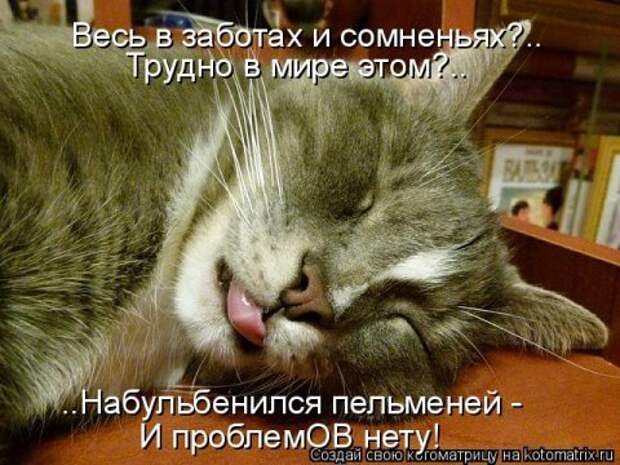 Новые крутые котоматрицы первой недели октября (50 фото) Новые крутые котоматрицы первой недели октября (50 фото)