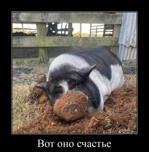 Свежие, прикольные демотиваторы
