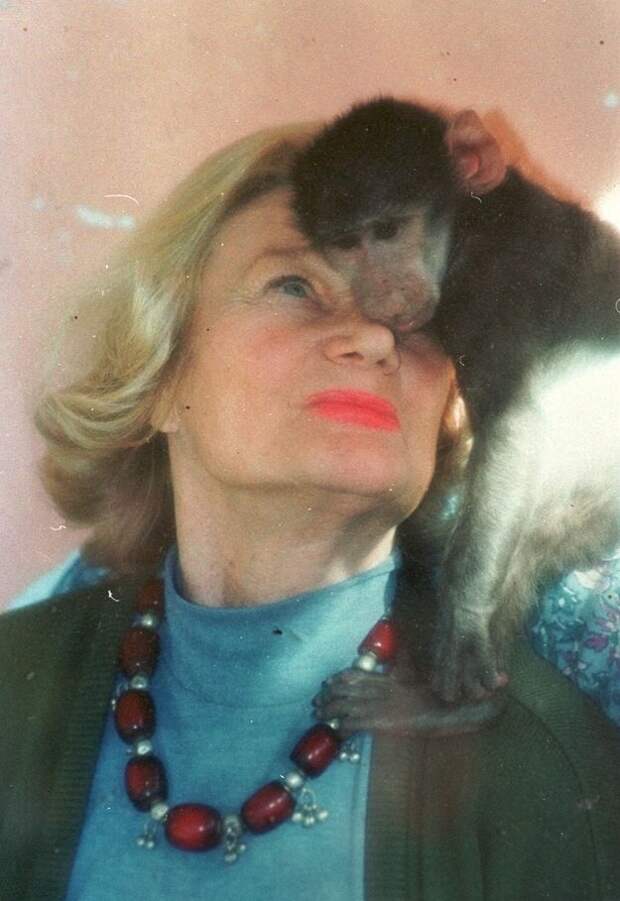 Животные богачи richanimals11 Животные богачи