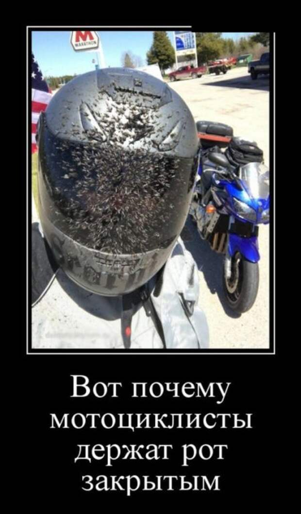 Демотиваторы (30 фото)