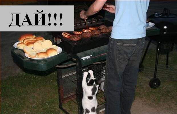 Мысли :) (50мыслей)