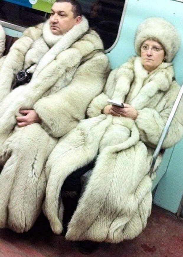Роскошная парочка.