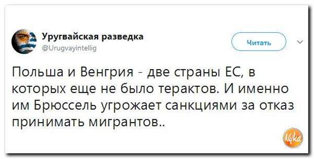 18345630_m.jpg