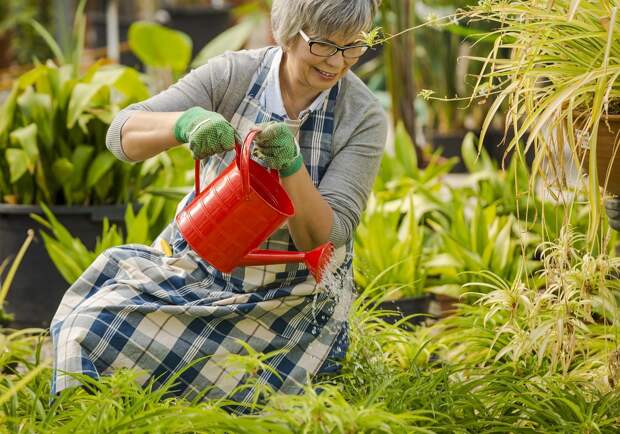 Beautiful mature woman in a garden watering flowers