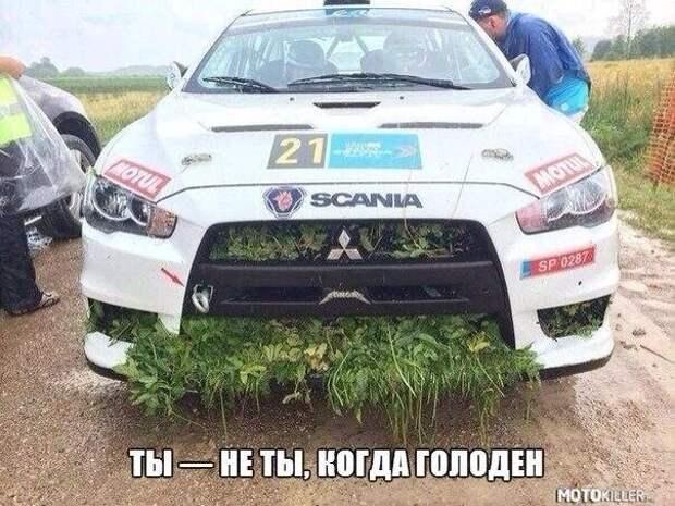 Подборка автоприколов. Часть 169 автоприколы, приколы