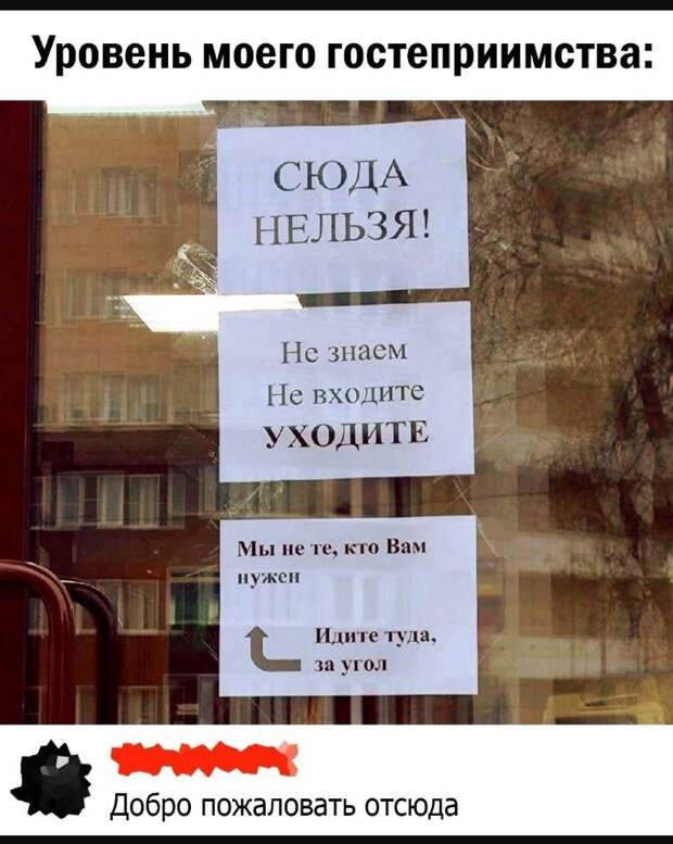 картинки прикольные смешные с надписями (7)