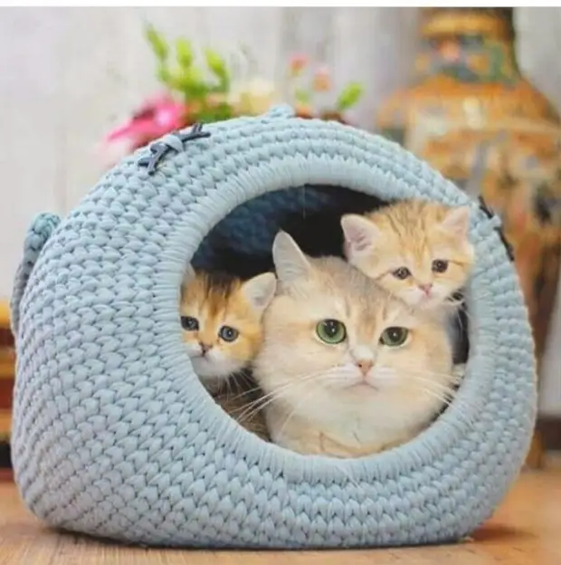 Фото из свободных источников