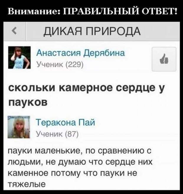 Смешные комментарии. Подборка chert-poberi-kom-chert-poberi-kom-22110424072020-1 картинка chert-poberi-kom-22110424072020-1