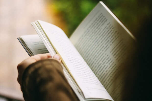 Книга/pixabay.com