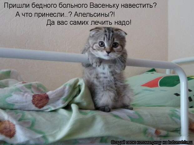 Котоматрица - Пришли бедного больного Васеньку навестить? А что принесли..? Апельсин