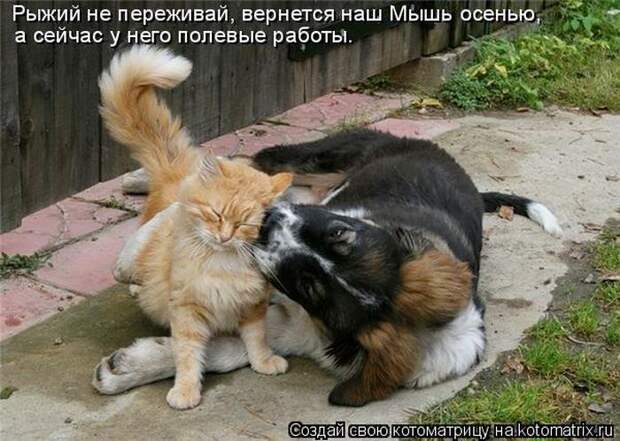 Мысли вслух :)