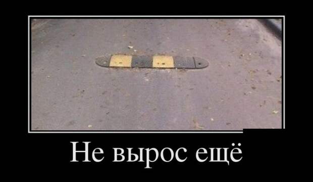 Демотиваторы (30 фото) Демотиваторы (30 фото)