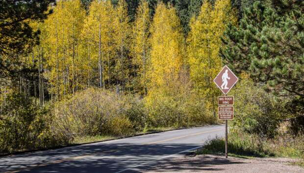 Hunter Captures Video Of Alleged Bigfoot