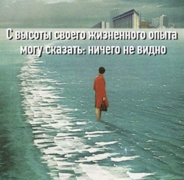 Лучшие шутки и мемы из Сети