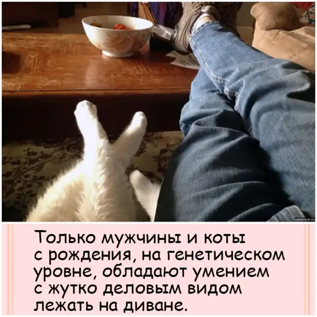 Уроки выучены… Родители охрипшие, дети оглохшие… Уроки выучены… Родители охрипшие, дети оглохшие… говорит, спрашивает, одной, Мойша, мальчик, отвечает, Учитель, Мальчик, подряд, Миллионера, после, участковый, Мадам, школу, домой, зовут, месте, Мухамед, Конечно, такие