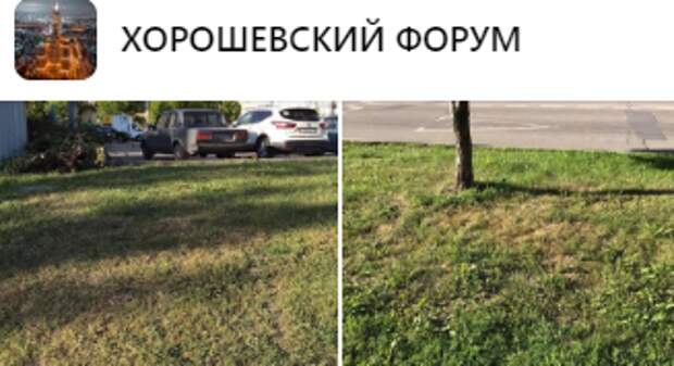 Мастерам «Жилищника» объяснили правила покоса травы в Хорошевке