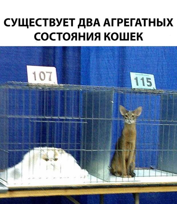 Подборка картинок (20 фото)