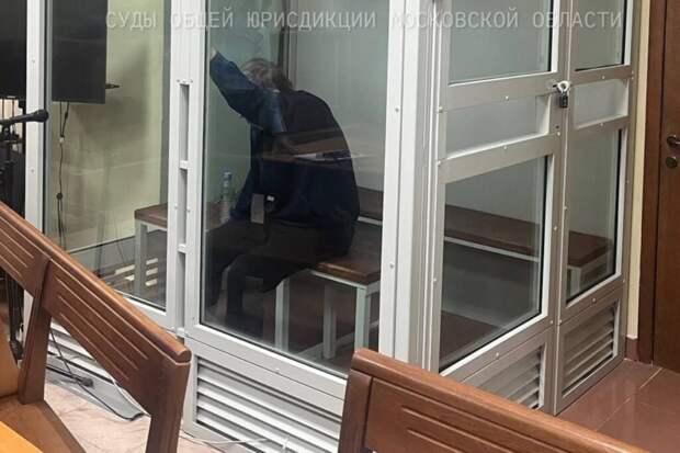 Серийного душителя из Подмосковья отправили в колонию на 22 года