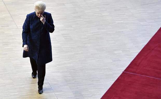 На фото: президент Литвы Дале Грибаускайте