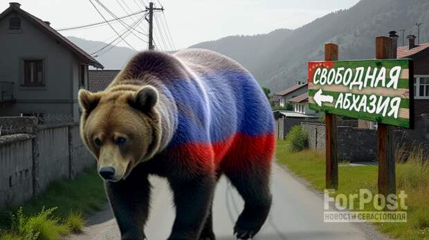 Абхазия пробила дно в благодарности России. Фото: коллаж Арина Розанова|ForPost.