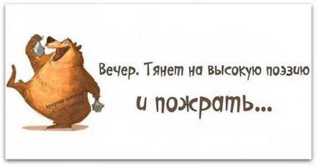 Жизненные мысли :-))