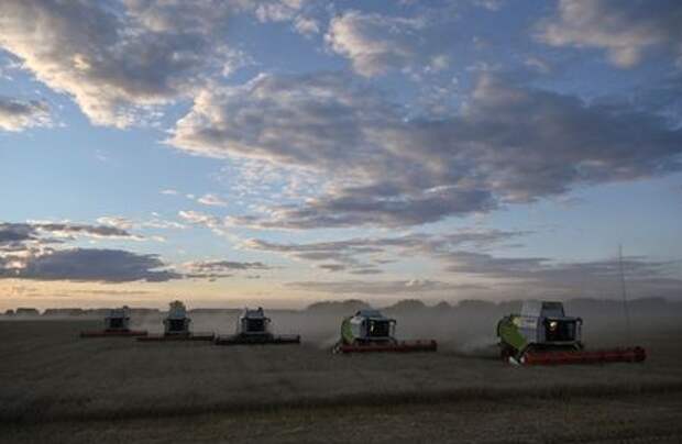Combines harvest wheat in a field of Triticum farm in Omsk Region, Russia September 16, 2020. Picture taken September 16, 2020. REUTERS/Alexey Malgavko