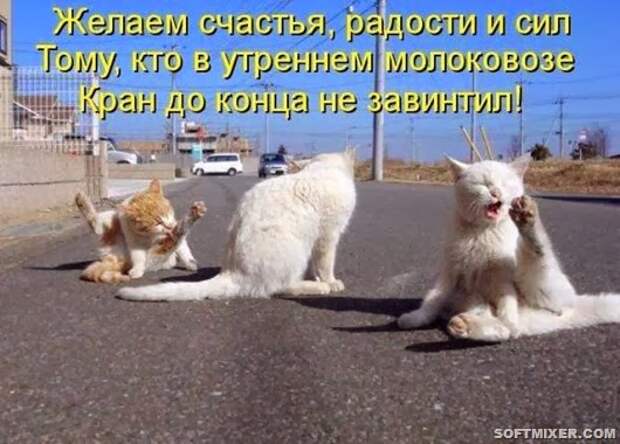 3cc0d3eedf613f98b4b21bb73ae_prev