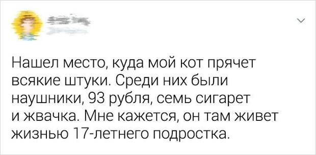 Ситуации, которые показывают, что это кошки заводят нас, а не мы их