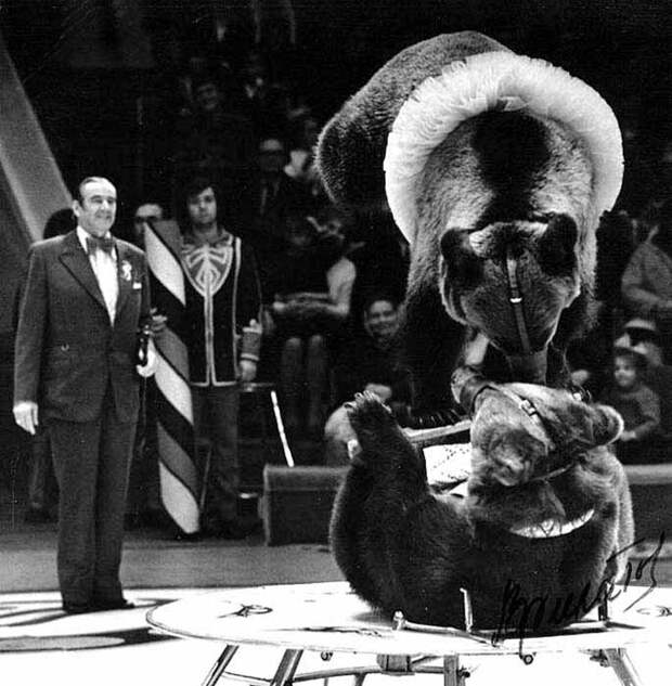 Валентин Филатов с медведями. / Фото: www.366days.ru