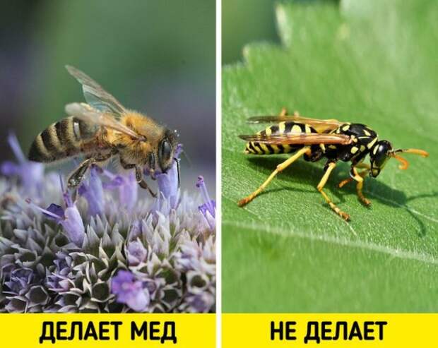Простые детские вопросы, на которые не все взрослые могут дать ответ