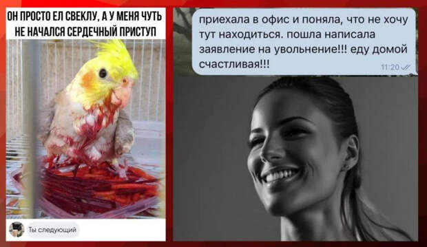 Забавные комментарии, которые как острый соус приправляют сам пост