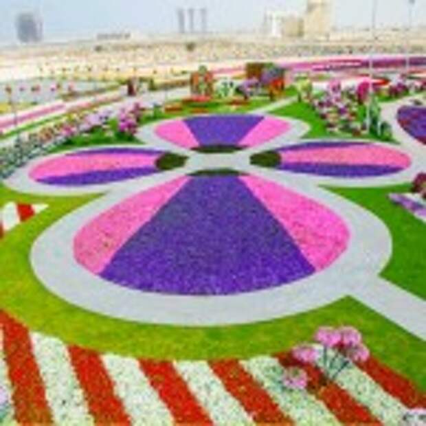 Dubai Miracle Garden