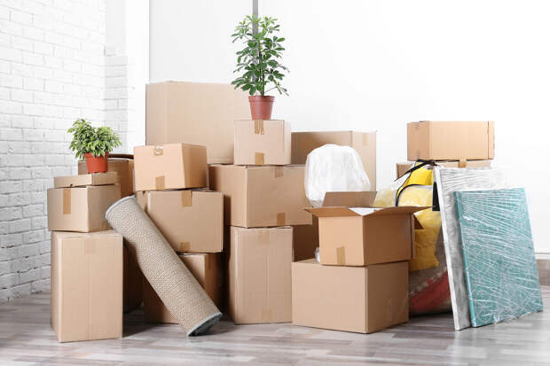 Адвокат Борзенко: хранение в квартире опасных предметов может привести к выселению