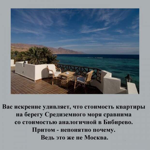 турист, факт, юмор
