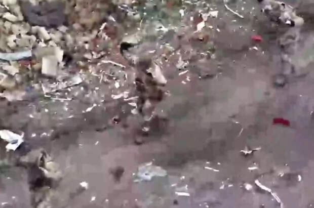 Мёртвые головы: боевики из «полка смерти» ВСУ погибли, копируя нацистов