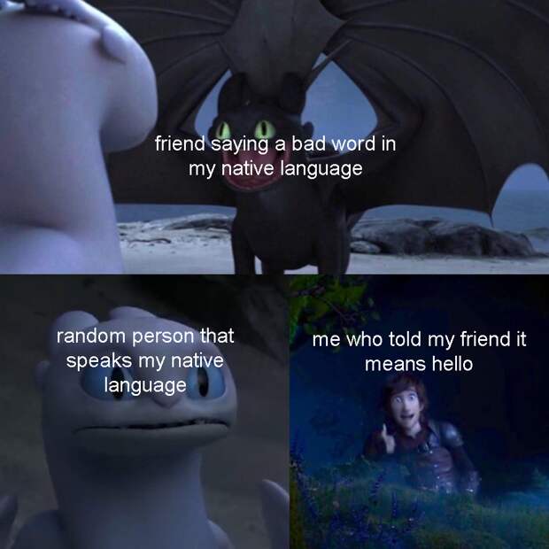 Toothless dragon and Light Fury memes