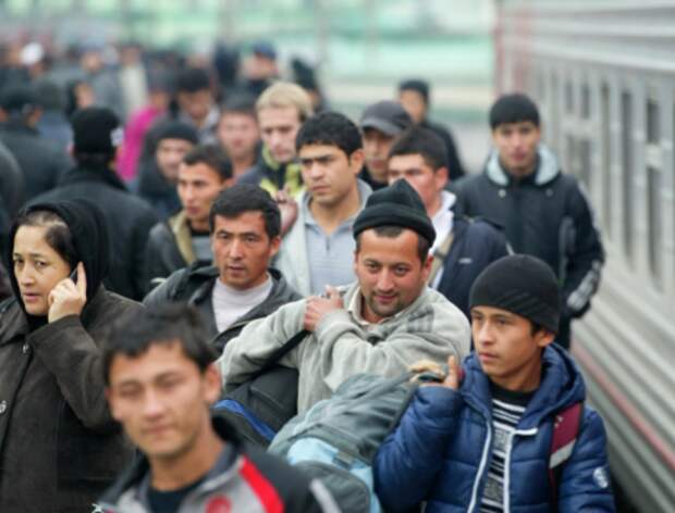 Исследования: трудовые мигранты тормозят российскую экономику