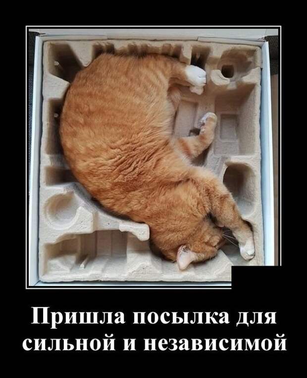 Демотиваторы (20 фото)