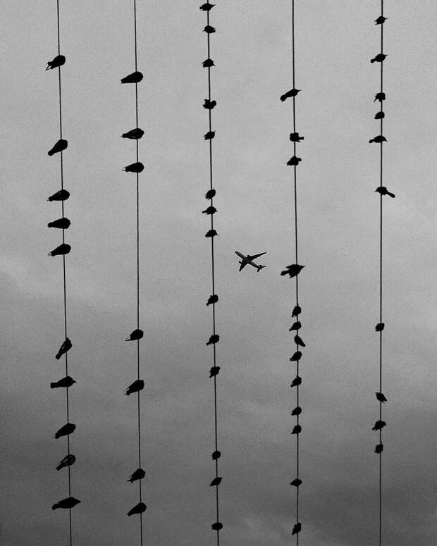 Джейсон Петерсон – режиссер черно-белой фотографии 8