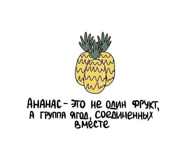 Любопытные коротенькие факты на все случаи жизни