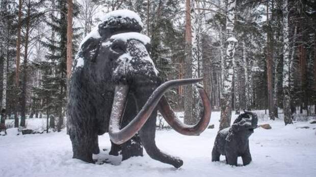 Учёные заселят Сибирь мамонтами