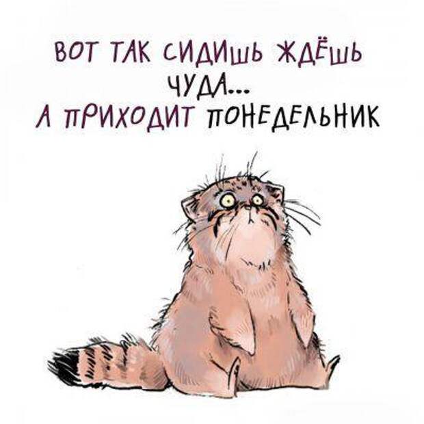 Свежие мемы сегодняшнего дня (понедельник)