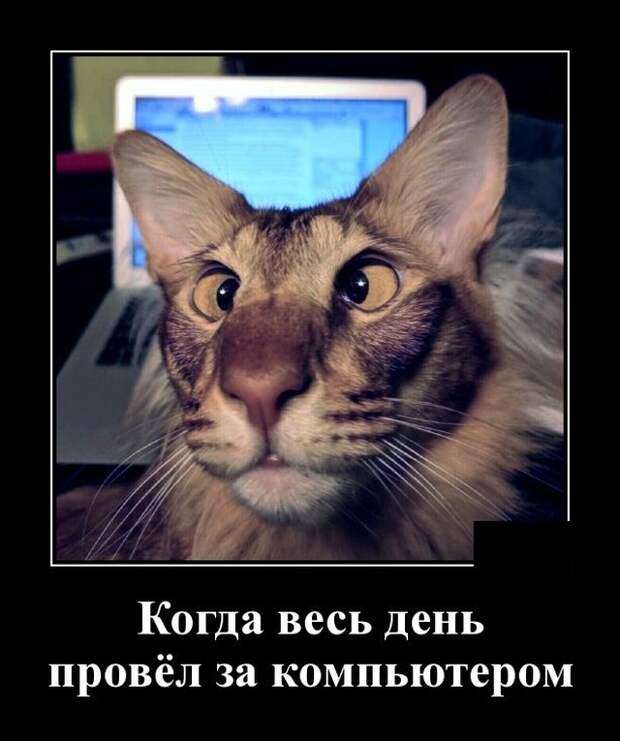 Демотиваторы (20 фото)