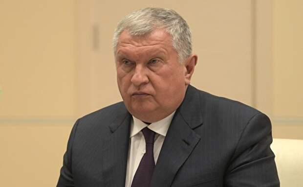 «Просил бы вас, Владимир Владимирович, поддержать инициативы компании»