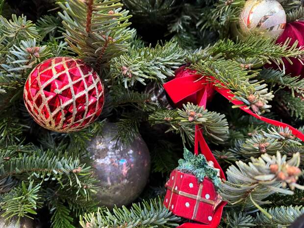 В Тюмени скоро начнёт работать новогодний навигатор