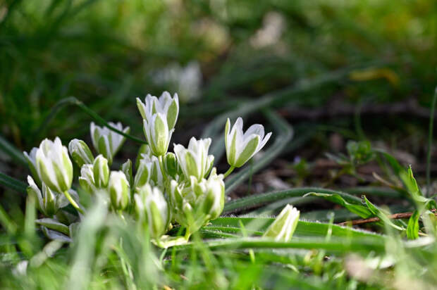 Погода 8 марта: солнечно, днём до +9