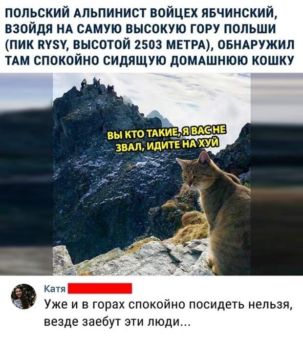 Так себе картинки